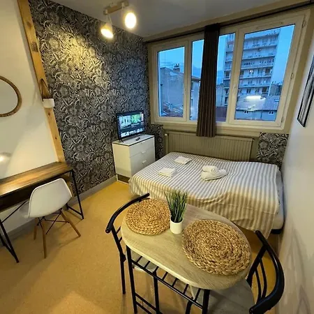 Apartment Joli Au Coeur De Valence 41 *