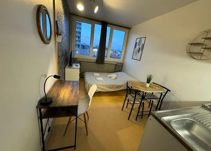 Joli Au Coeur De 41 Appartement